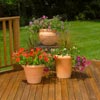 decks